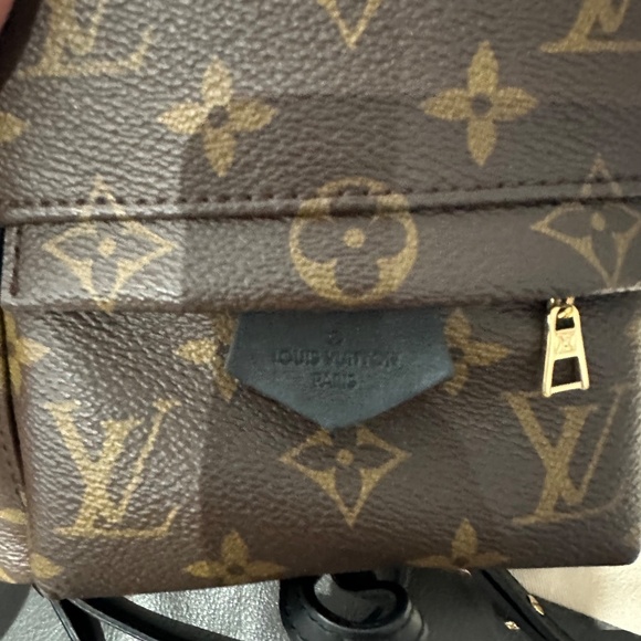 Louis Vuitton Palm Springs Mini - Picture 10 of 16